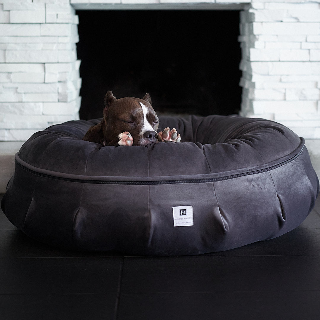 Ali sleeping in her new Animals Matter Luxury Donut Dog Be, the Ali Jewel Puff Orthopedic Dog Bed.