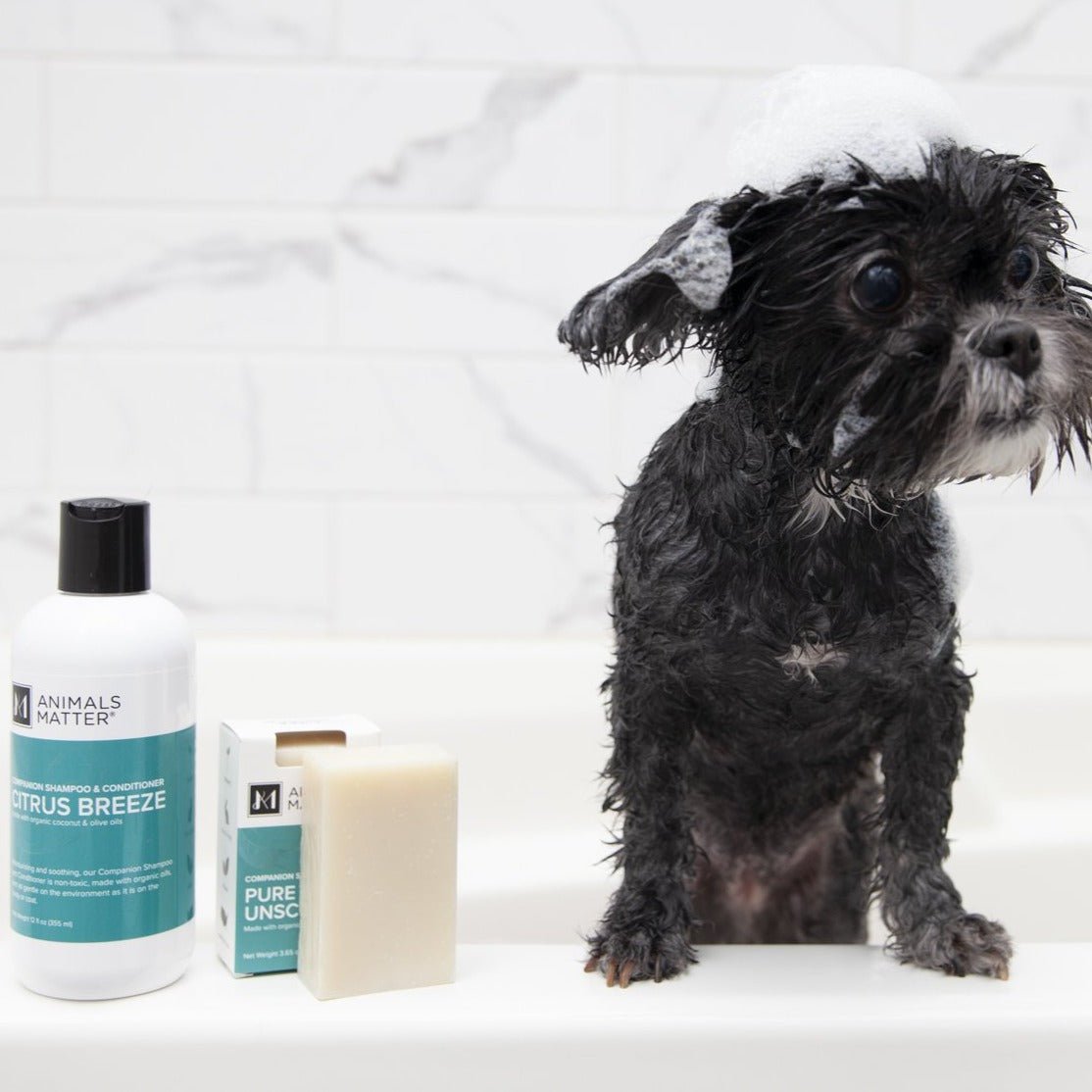 Dog shampoo to shop help with human allergies