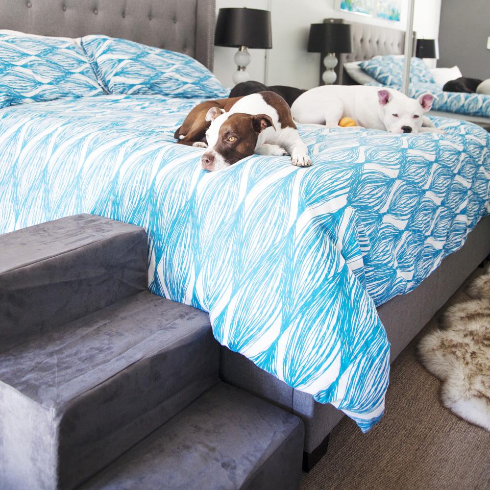 The Best Dog Stairs for Beds and Sofas: A Practical Guide to Support, Longevity, and Everyday Use - Animals Matter, Inc.