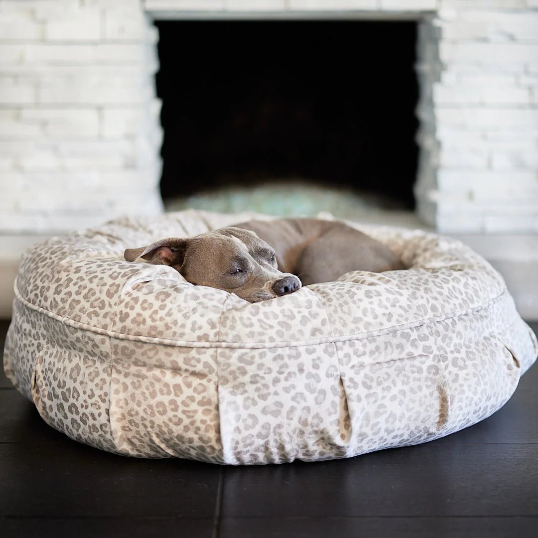 Does Your Dog Really Need a Dog Bed? - Animals Matter, Inc.