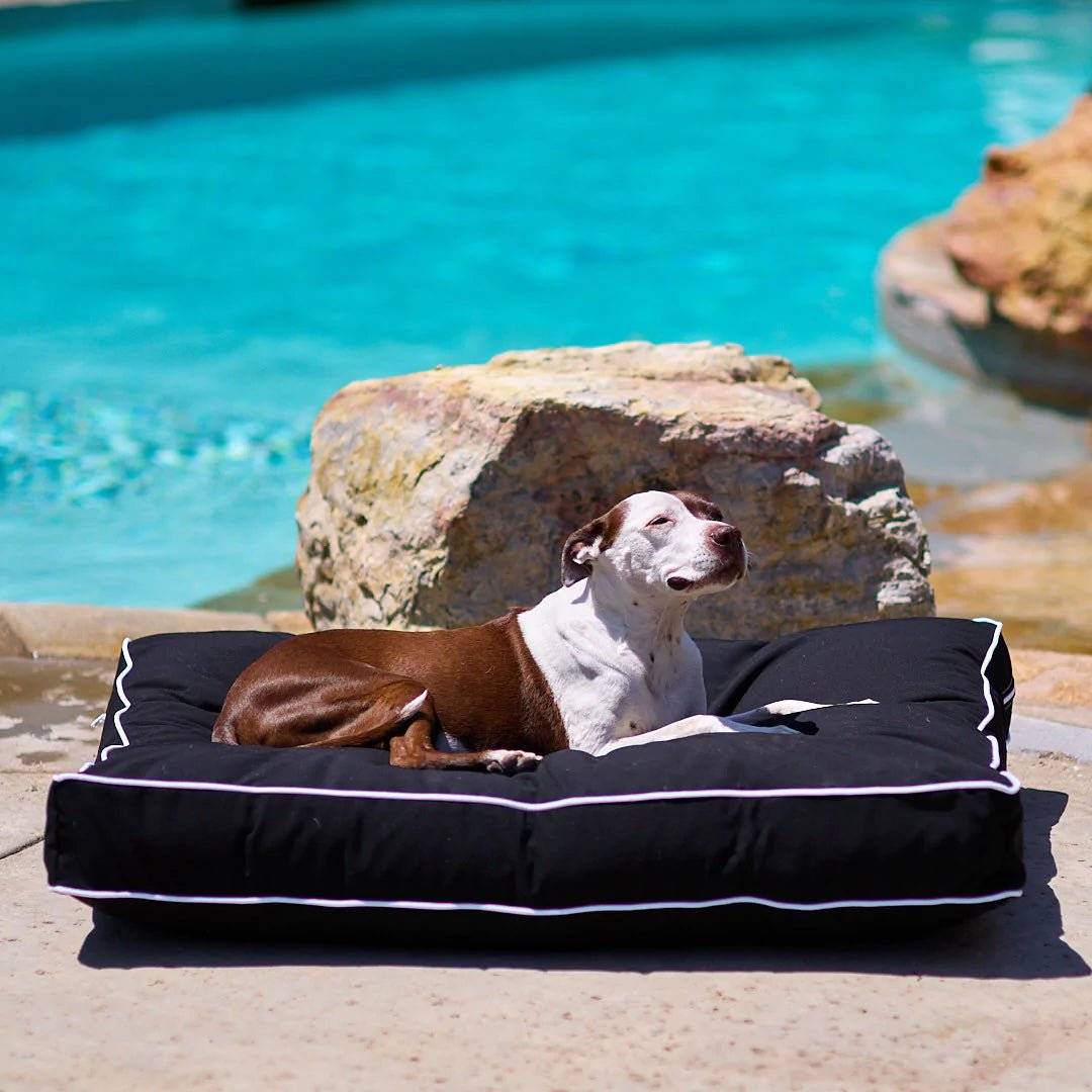 Outdoor dog outlet blanket