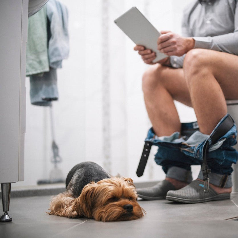 Dog Science Series Why Does My Dog Follow Me Into the Bathroom