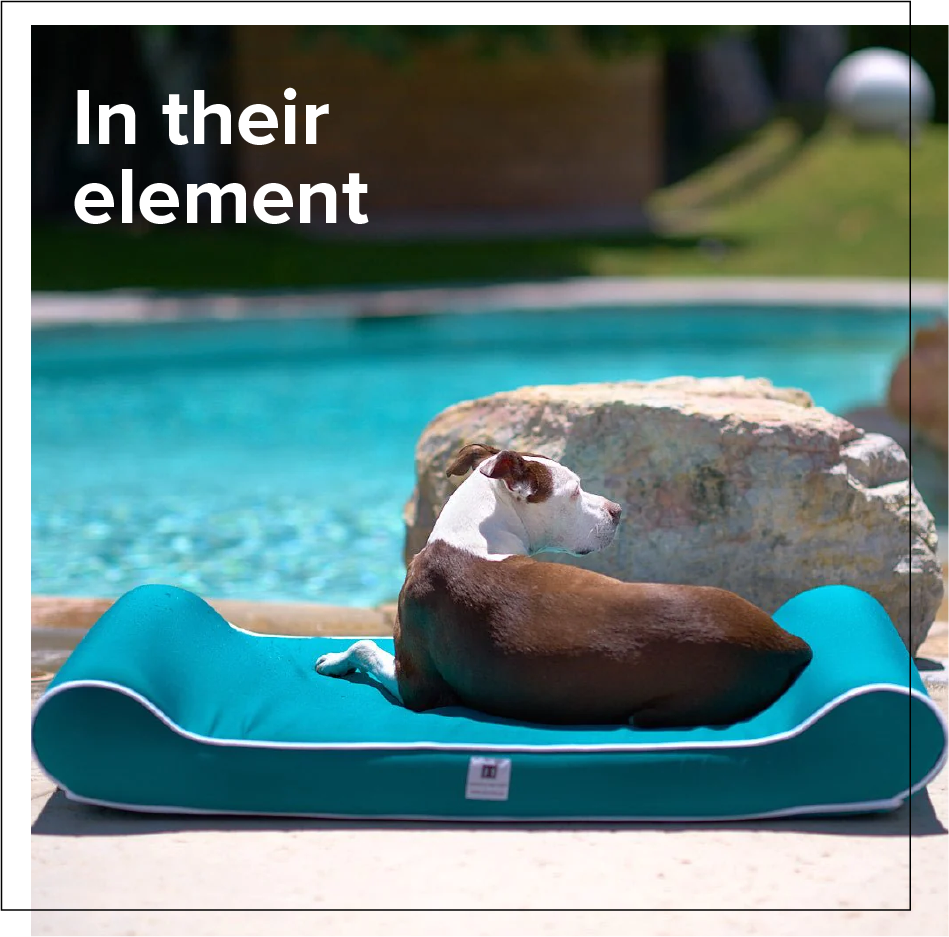 Outdoor dog beds sales for large dogs