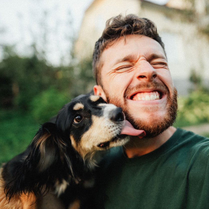 Is CBD Right for My Dog? And Other Questions About CBD for Dogs - Animals Matter, Inc.