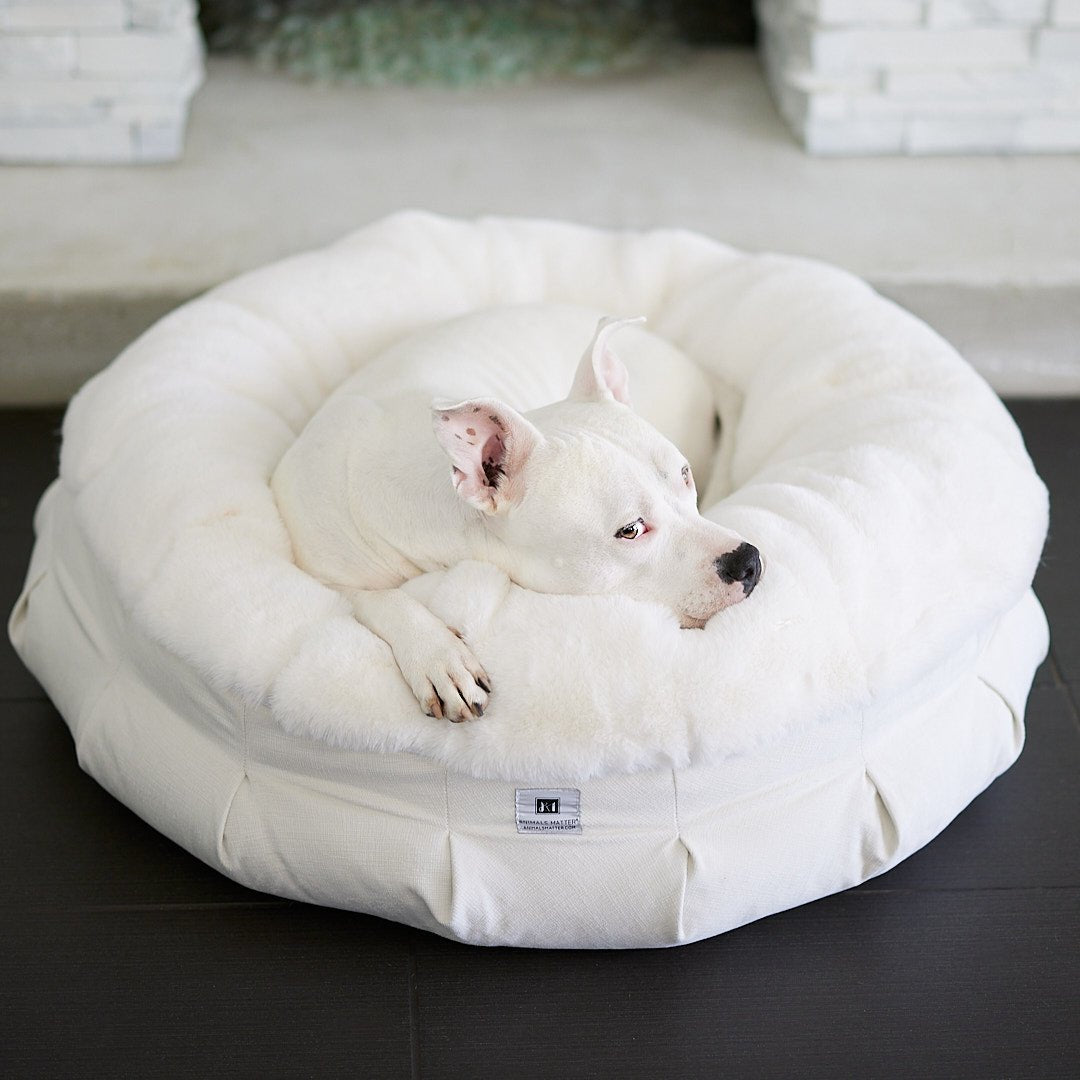 Orthopedic Dog Beds: Buying Considerations - Animals Matter, Inc.