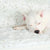Hudson laying on his animals matter pearl leopard faux fur dog blanket
