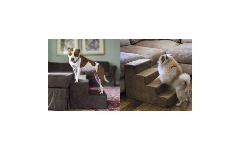 Purchasing Pup Stairs? Consider these tips. - Animals Matter, Inc.