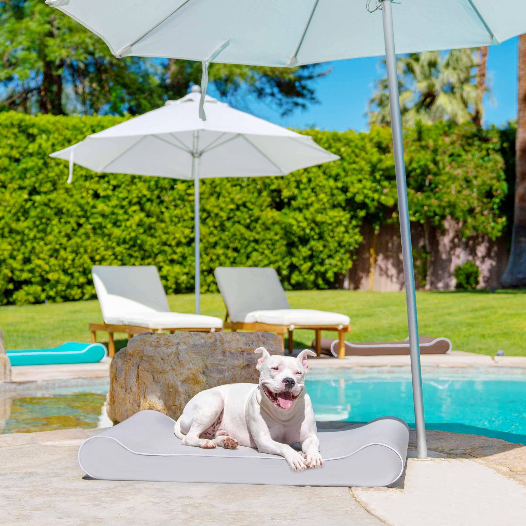 Hudson enjoying the pool using the Raine Outdoor Ortho Companion-Pedic® Contour Lounger™ with Waterproof Cover in grey 