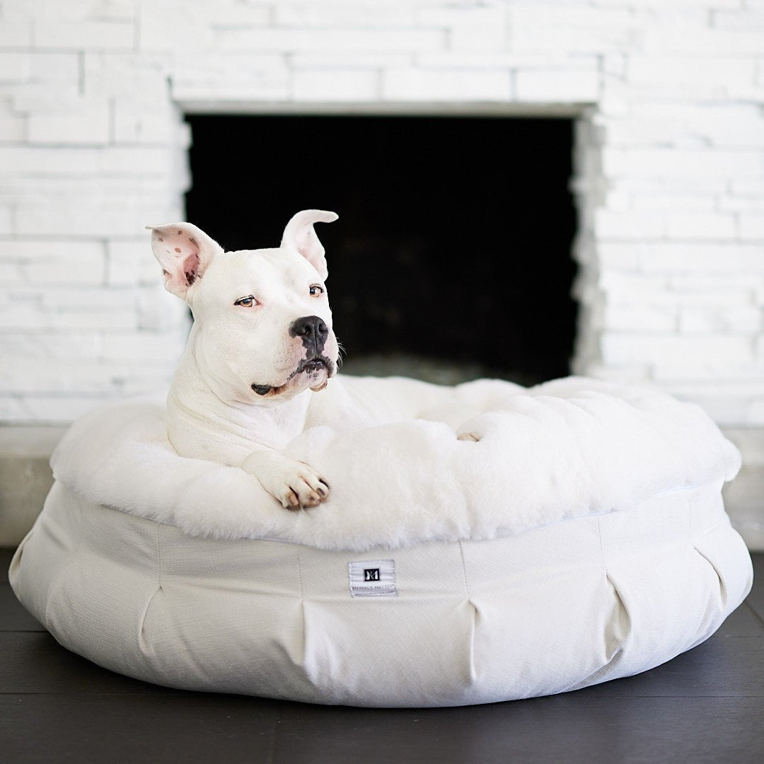 Hudson Lounging and Relaxing in his new Animals Matter Ruby Puff white dog bed.