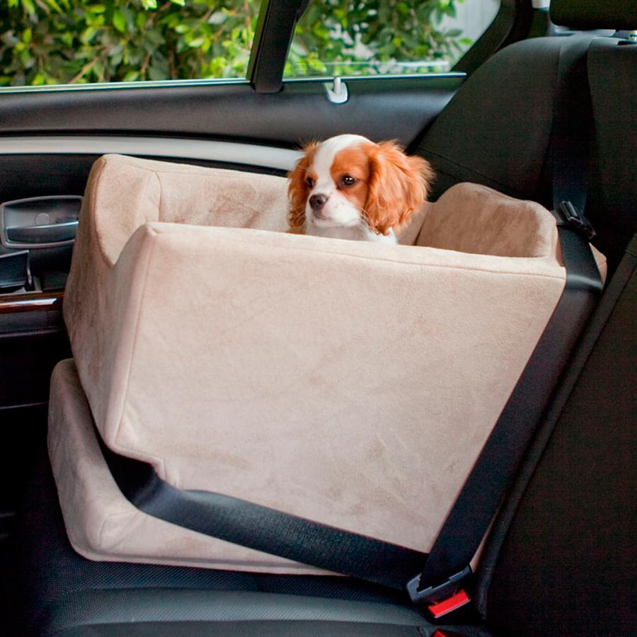 Vip Seating Dogs Dog In Driver Seat