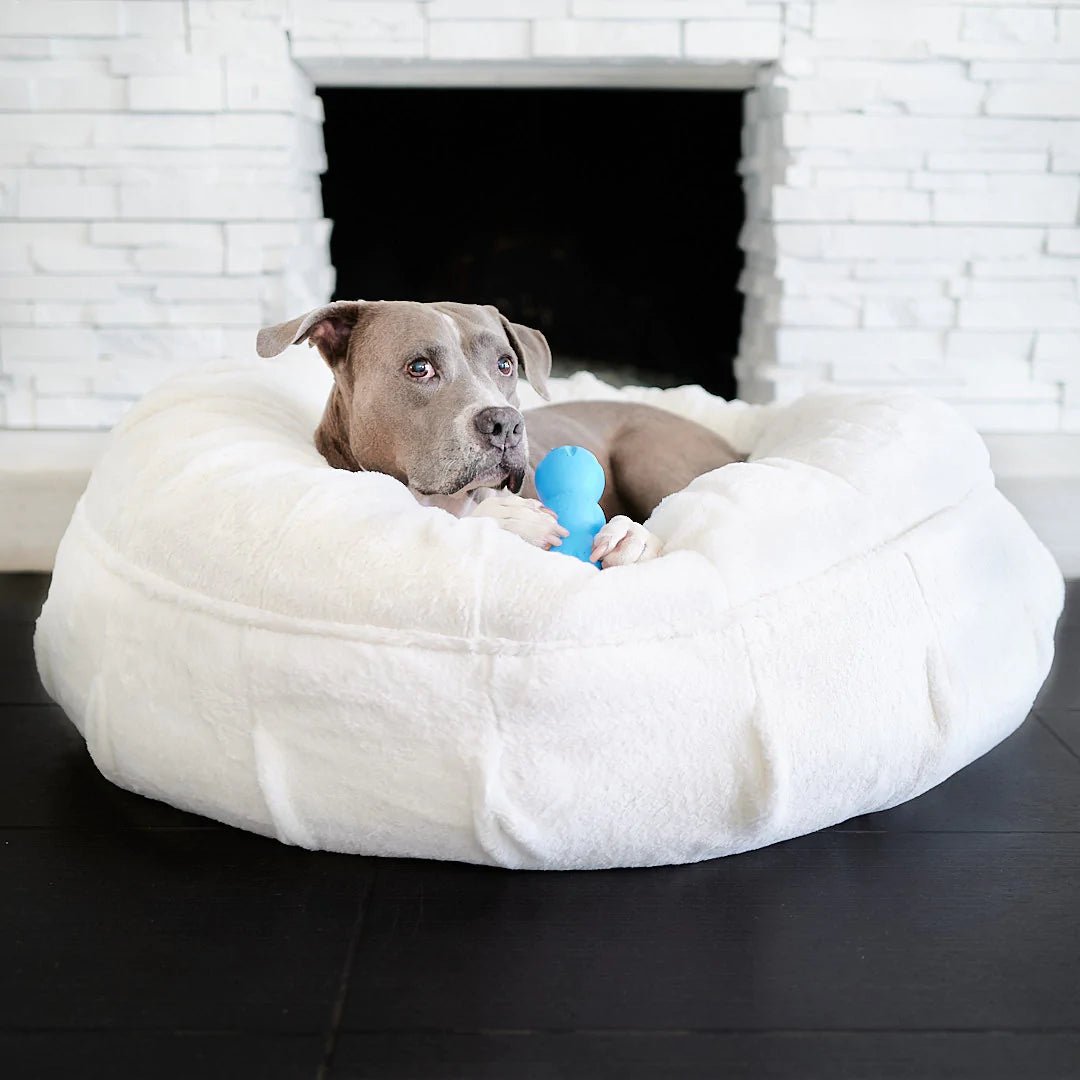 The Ultimate Guide to Orthopedic Dog Beds - Animals Matter, Inc.