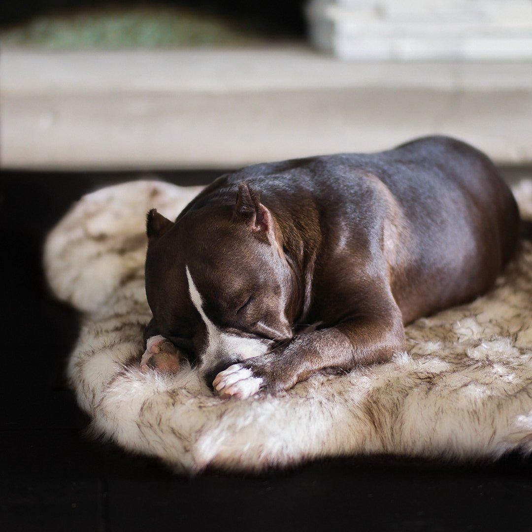 Faux Fur Dog Beds: Shag Collection - Animals Matter, Inc.