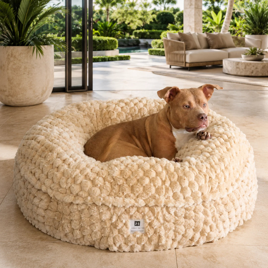 Calming Dog Beds - Animals Matter, Inc.