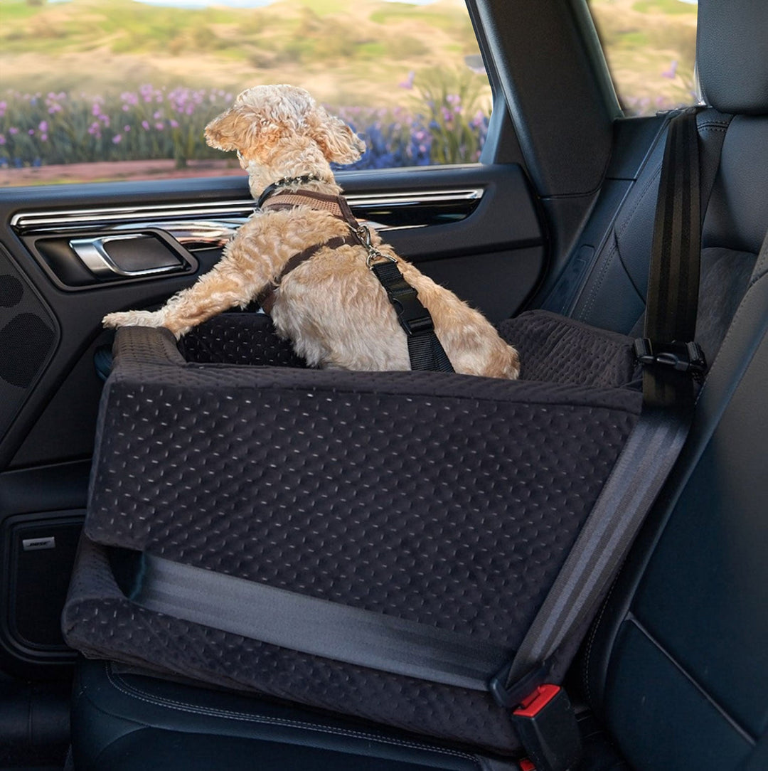 A small dog riding in the animals matter luxury dog car seat, enjoying the outdoors and riding safely.