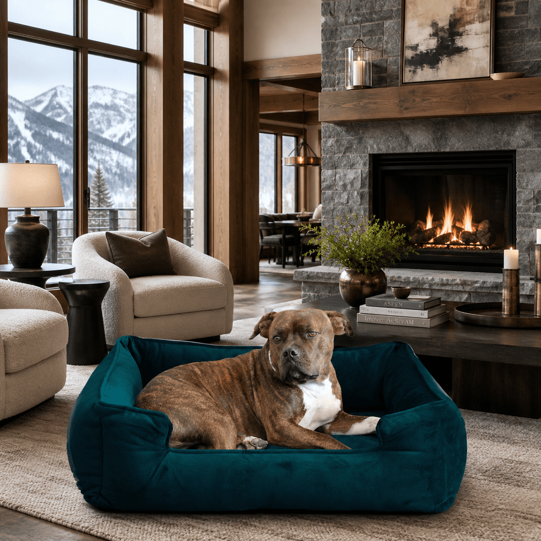 A dog resting in his Ali Jewel Ortho Lounger Dog Sofa Couch by Animals Matter. 