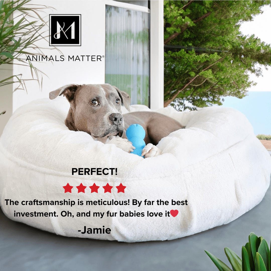 NEW Raine Puff Collection - Animals Matter, Inc.