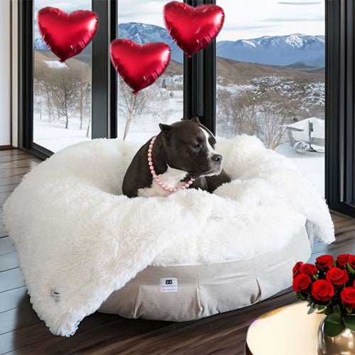 Ortho Puff® Luxury Dog Beds - Animals Matter, Inc.