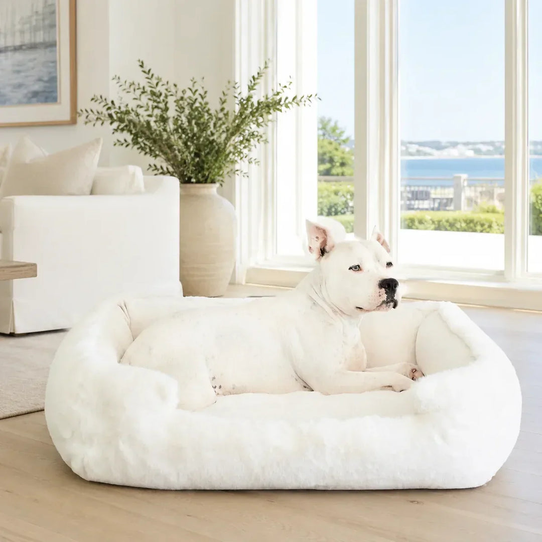 Signature Collection - Animals Matter, Inc.