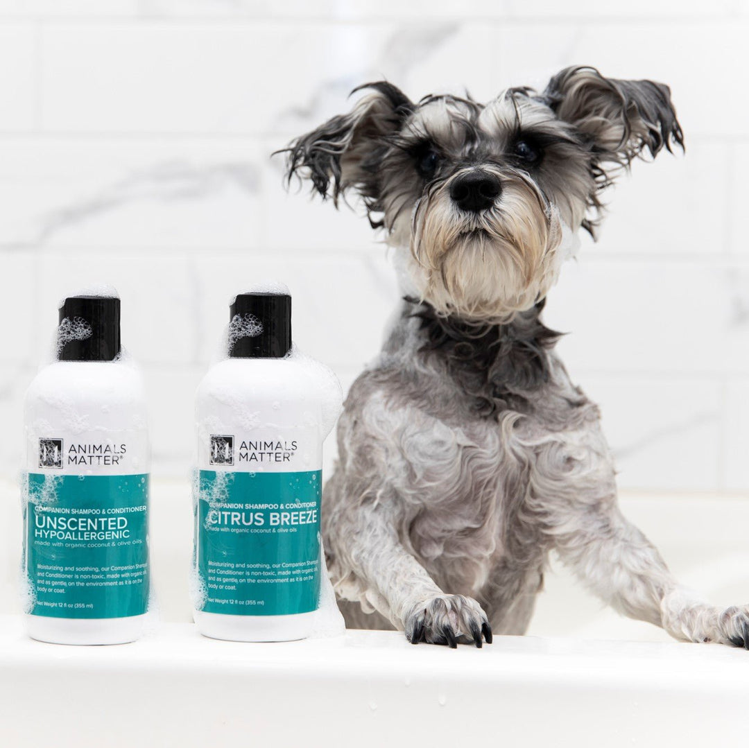 Organic Shampoo & Conditioner - Animals Matter, Inc.