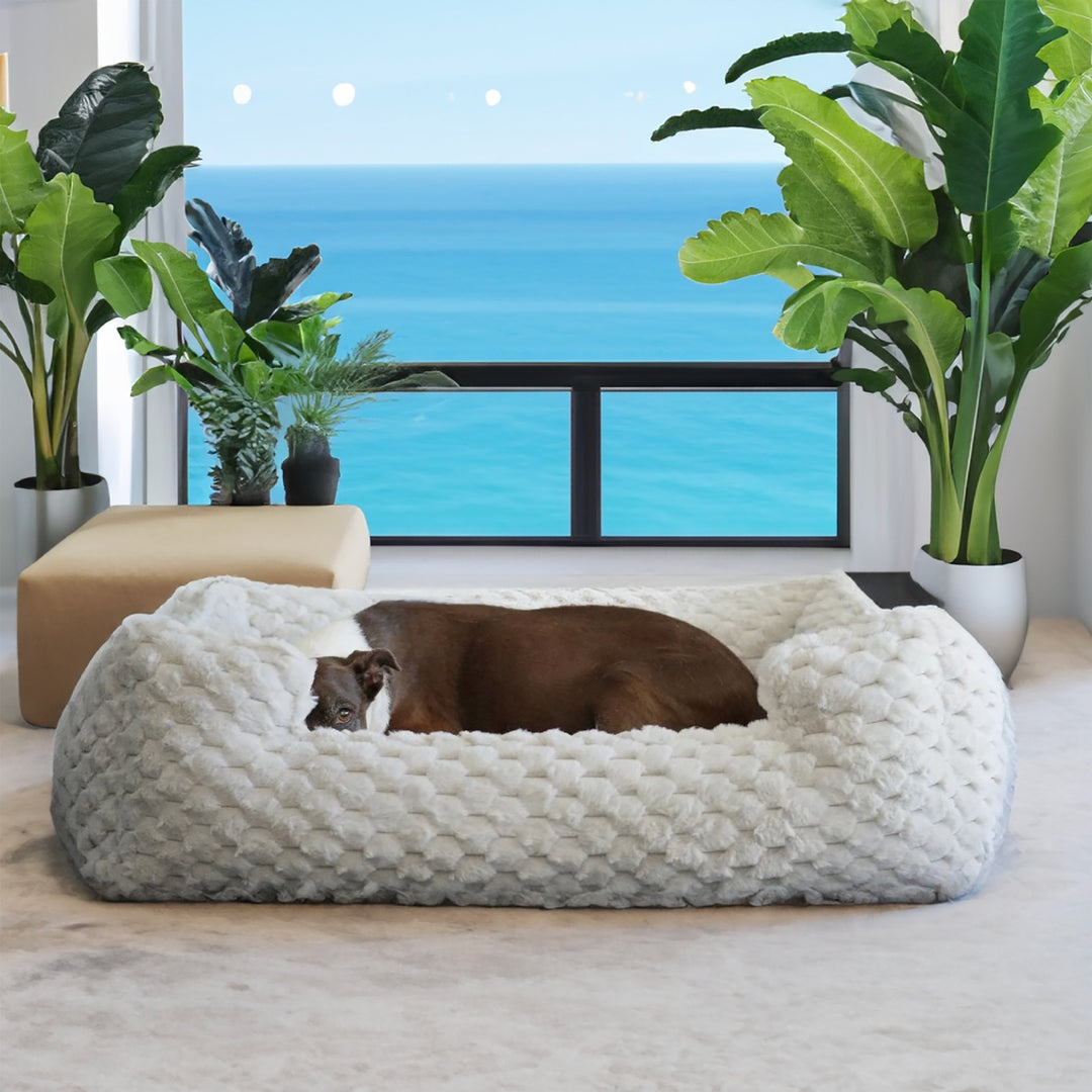 Dog Bolsters and Loungers - Animals Matter, Inc.