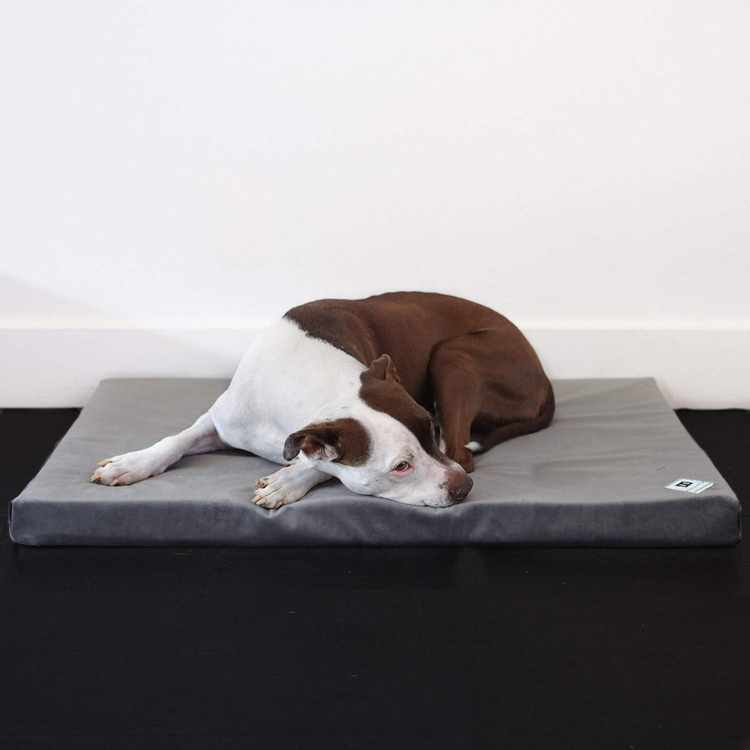Dog Crate Covers & Pads - Animals Matter, Inc.