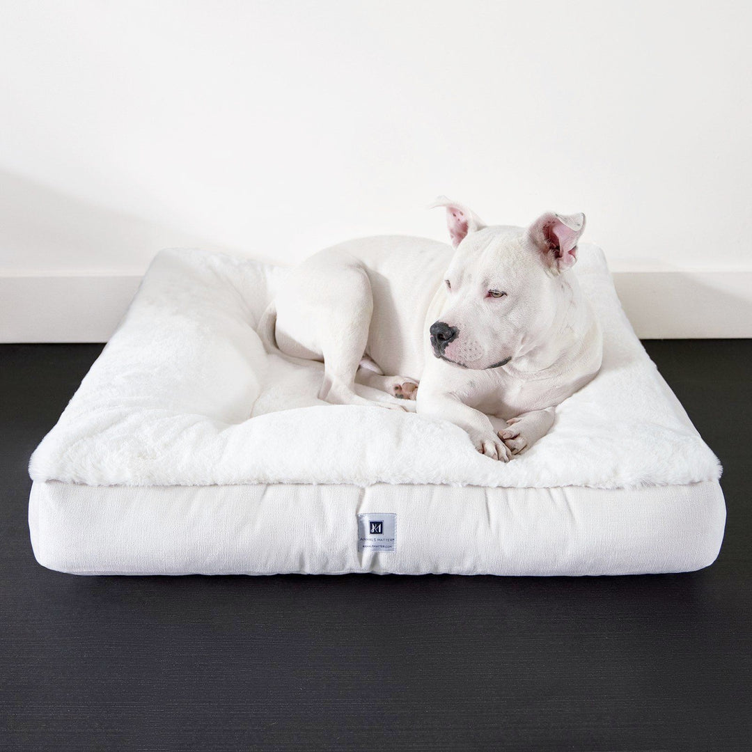 Dog Floor Pillows - Animals Matter, Inc.