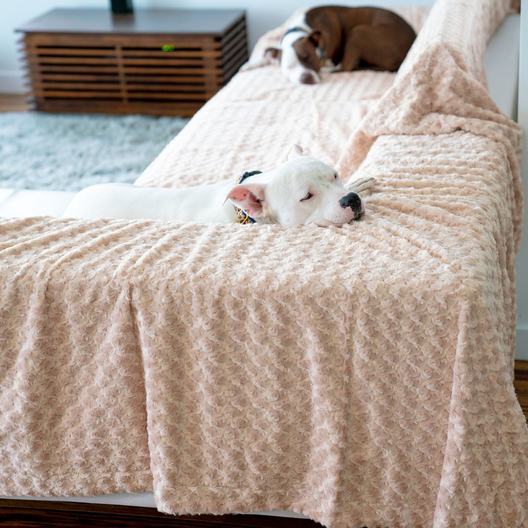 Pet Furniture Protectors, Pillows & Covers - Animals Matter, Inc.
