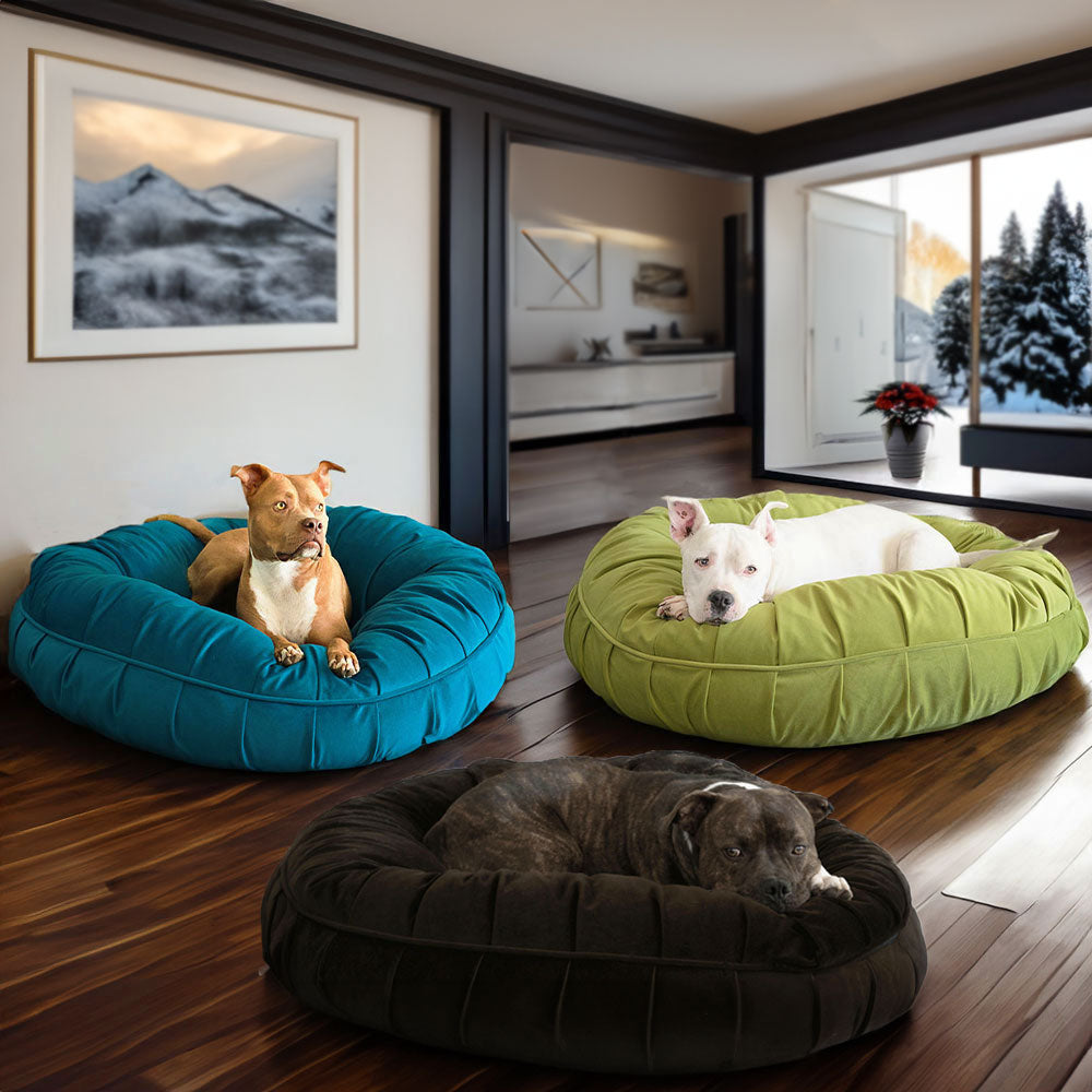 Roxy, Hudson and Hank lying the L.A. Dog Company® Ali Donut® dog bed in Turquoise,Celery, and chocolate in a modern living room with a winter outdoor view and christmas themed 