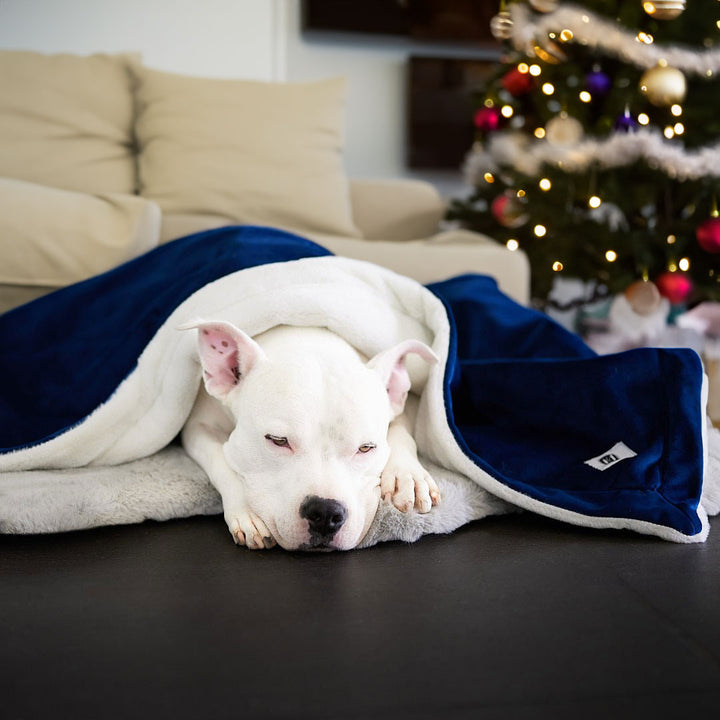 Ali Jewel® Luxury Dog Blanket