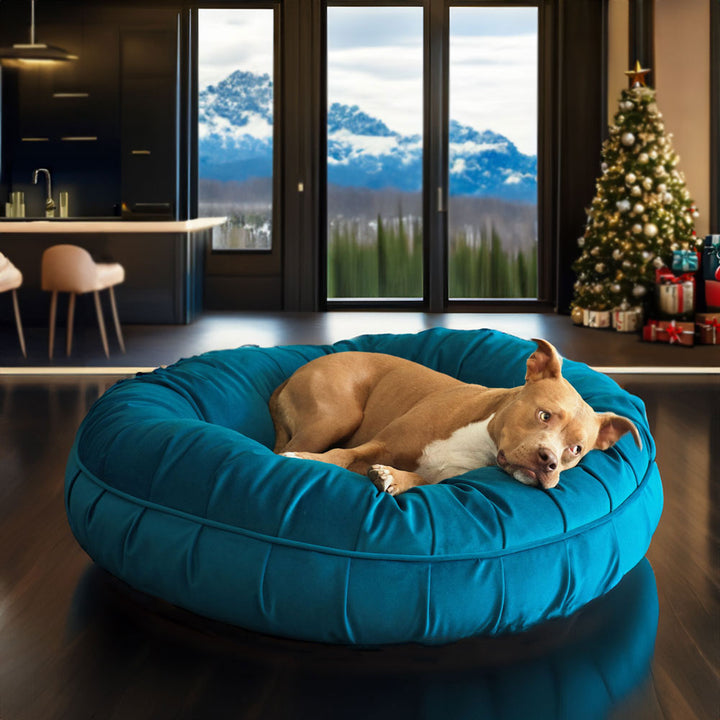 Animals Matter New Ali Donut Luxury Dog Bed in Turquoise