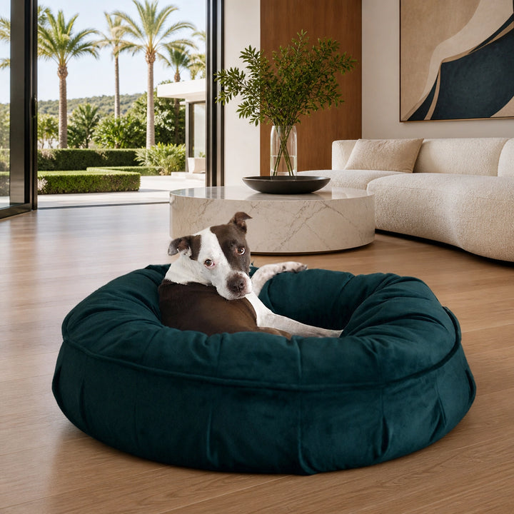 Ali Jewel® Ortho Puff™ Companion - Pedic® Luxury Dog Bed - Animals Matter, Inc.