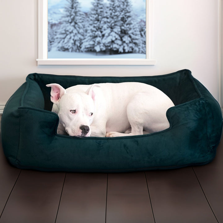 Ali Jewel Ortho Lounger® Companion-Pedic® Luxury Dog Bed - Animals Matter, Inc.