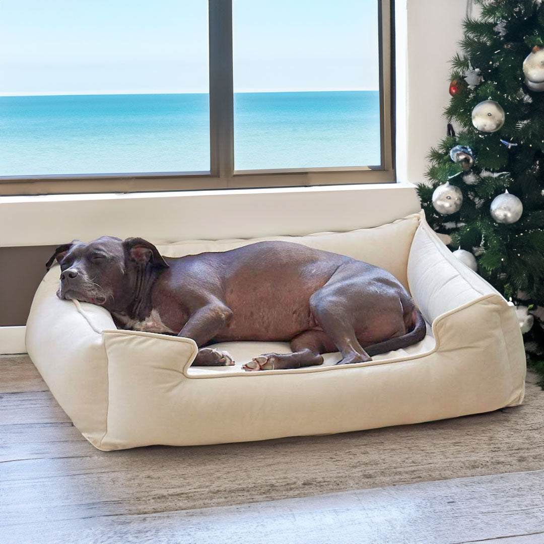 Ali Jewel Ortho Lounger® Companion-Pedic® Luxury Dog Bed - Animals Matter, Inc.