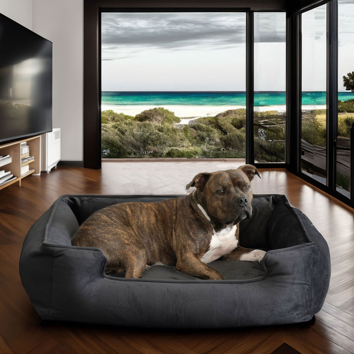 Ali Jewel Ortho Lounger® Companion-Pedic® Luxury Dog Bed