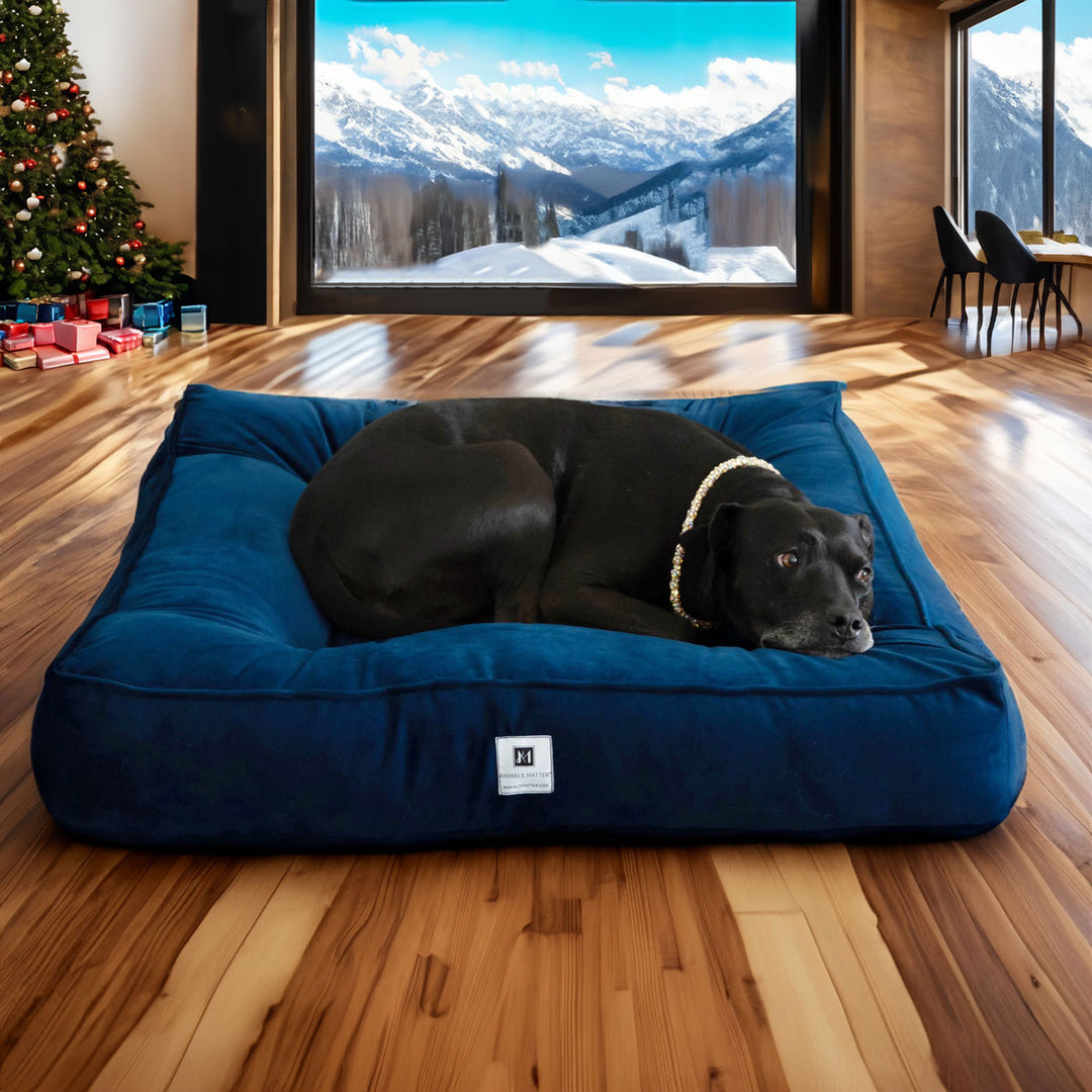 Ali Jewel® Ortho Square™ Companion-Pedic® Luxury Dog Bed - Animals Matter, Inc.