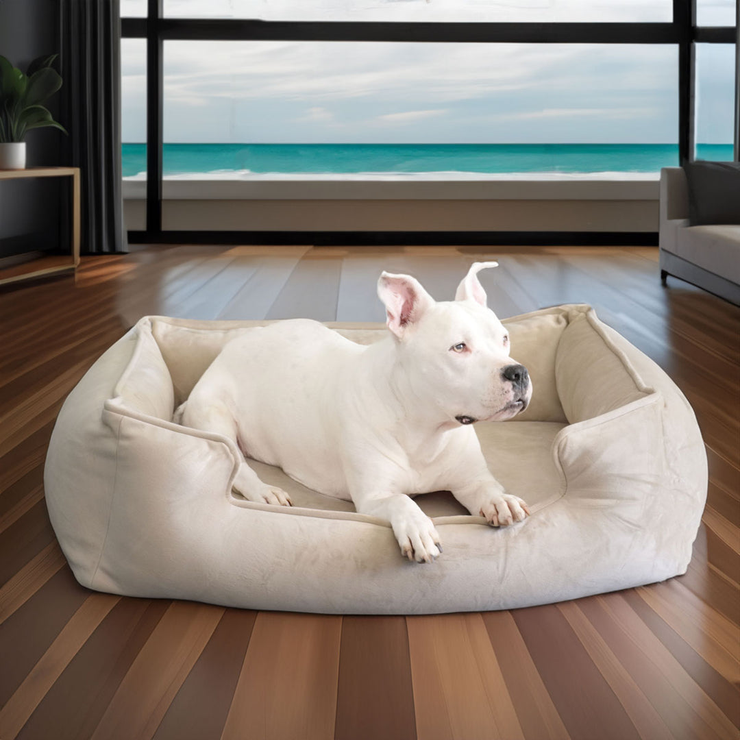 Ali Jewel Ortho Lounger® Companion-Pedic® Luxury Dog Bed
