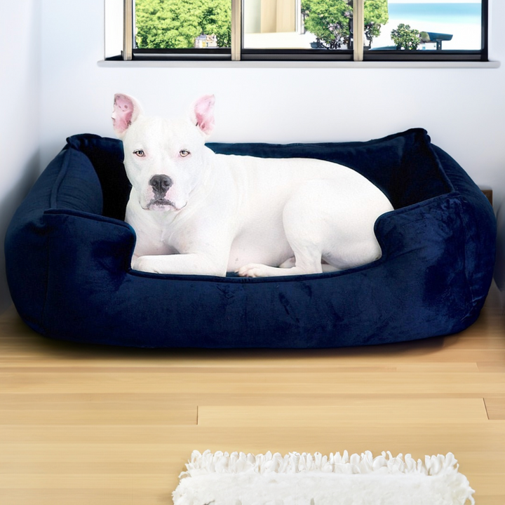 Ali Jewel Ortho Lounger® Companion-Pedic® Luxury Dog Bed - Animals Matter, Inc.