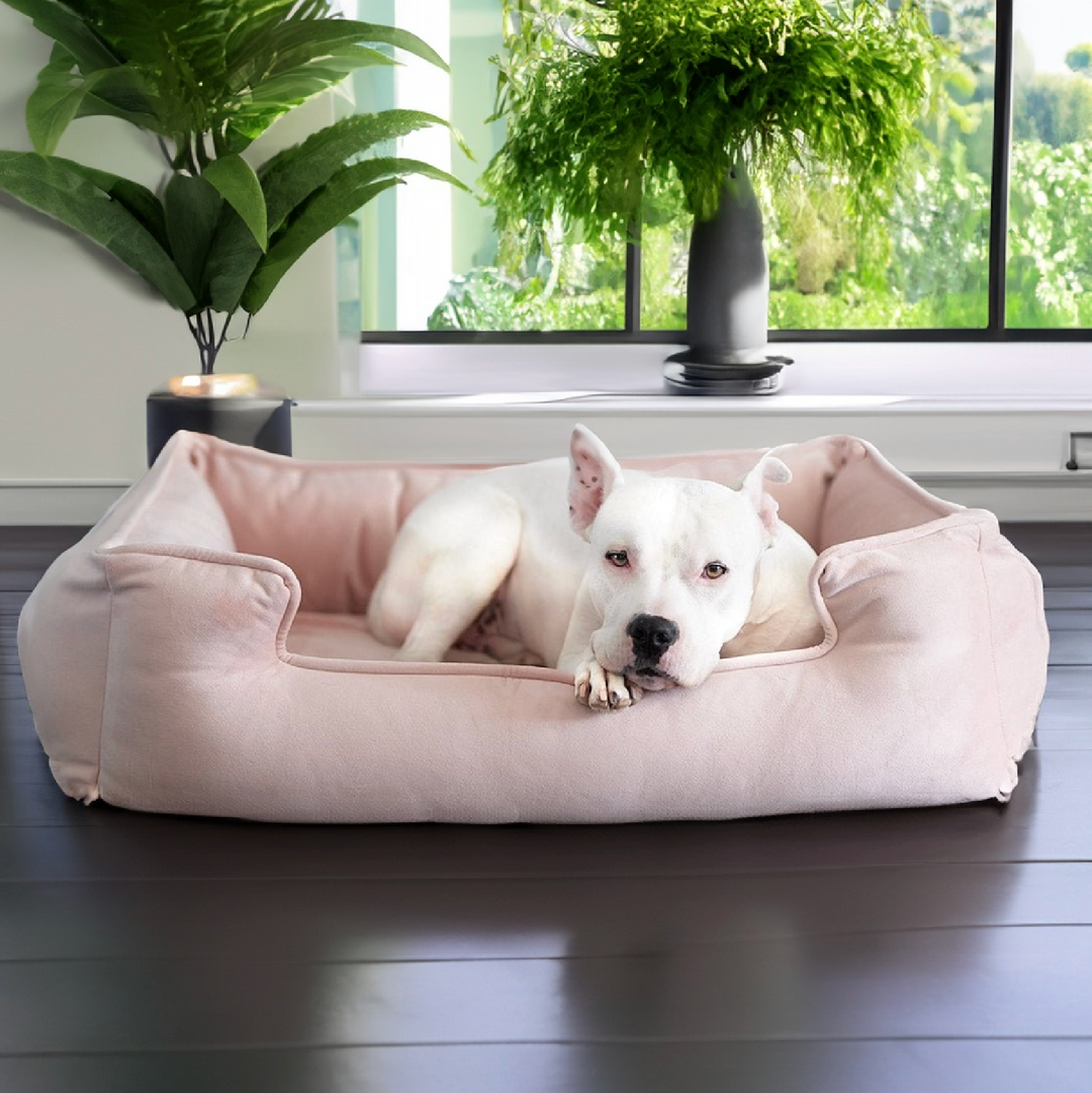 Ali Jewel Ortho Lounger Companion Pedic Luxury Dog Bed