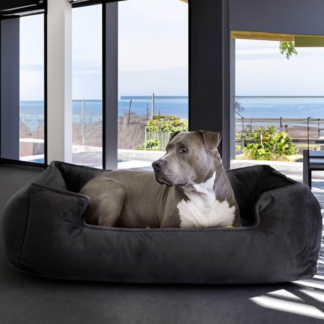 Ali Jewel Ortho Lounger® Companion-Pedic® Luxury Dog Bed