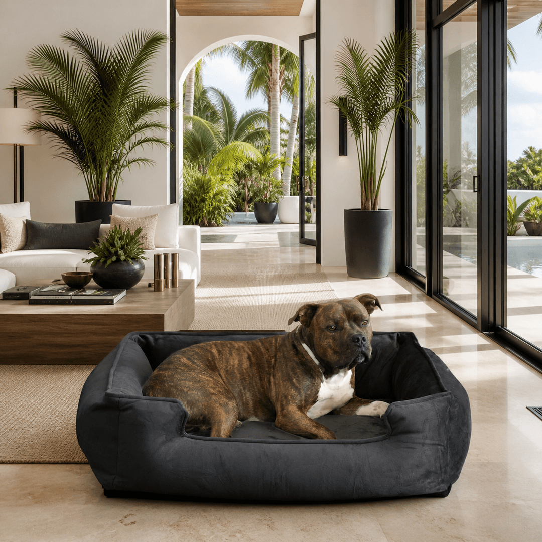 Ali Jewel Ortho Lounger® Companion - Pedic® Luxury Dog Bed - Animals Matter, Inc.