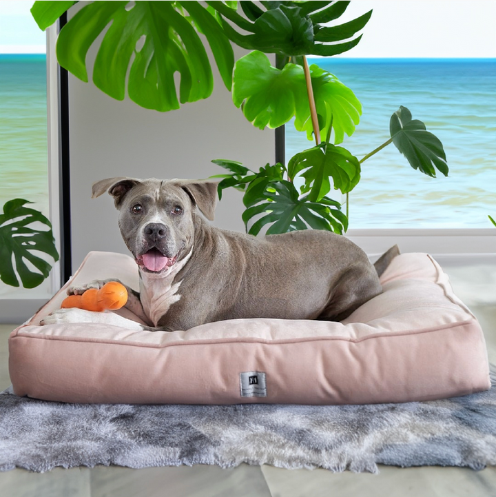 Ali Jewel® Ortho Square™ Companion-Pedic® Luxury Dog Bed - Animals Matter, Inc.