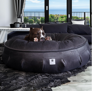 Inflatable sales dog bed