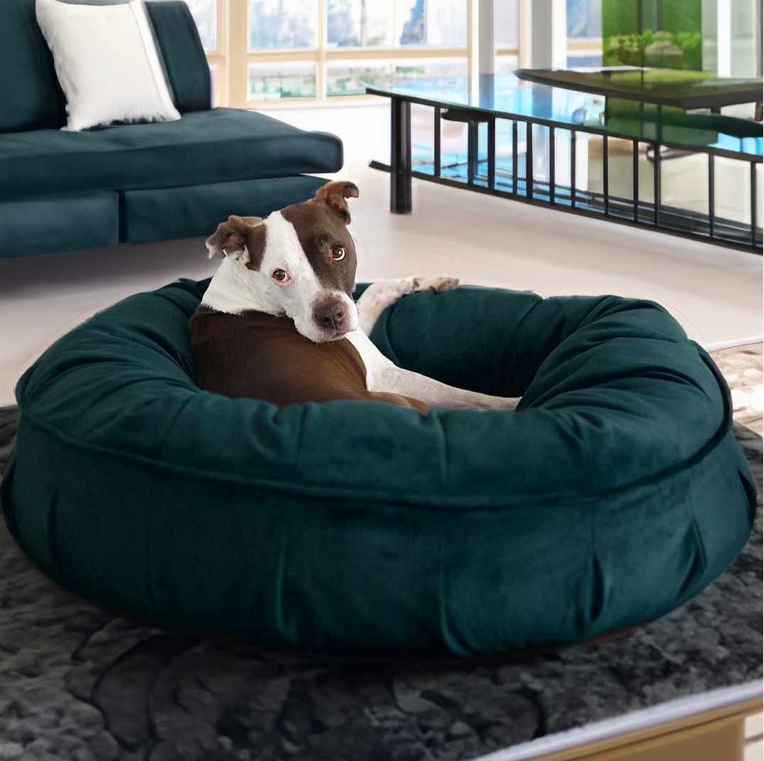 Ali Jewel® Ortho Puff™ Companion-Pedic® Luxury Dog Bed - Animals Matter, Inc.