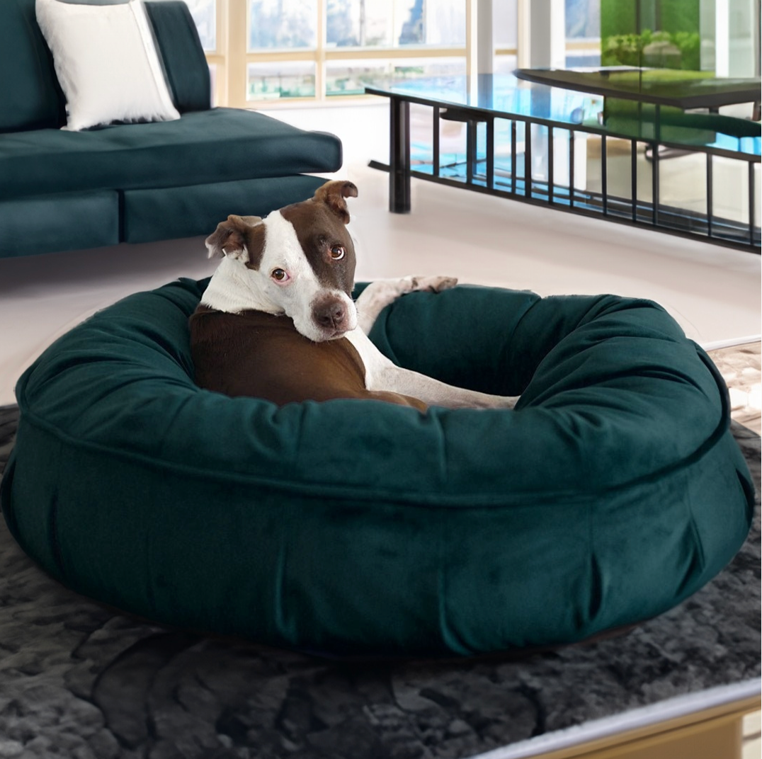 Ali Jewel Ortho Puff Companion Pedic Luxury Dog Bed