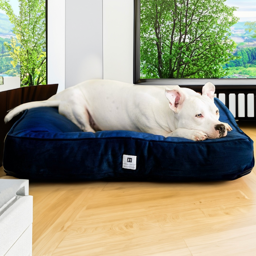 Ali Jewel® Ortho Square™ Companion-Pedic® Luxury Dog Bed - Animals Matter, Inc.