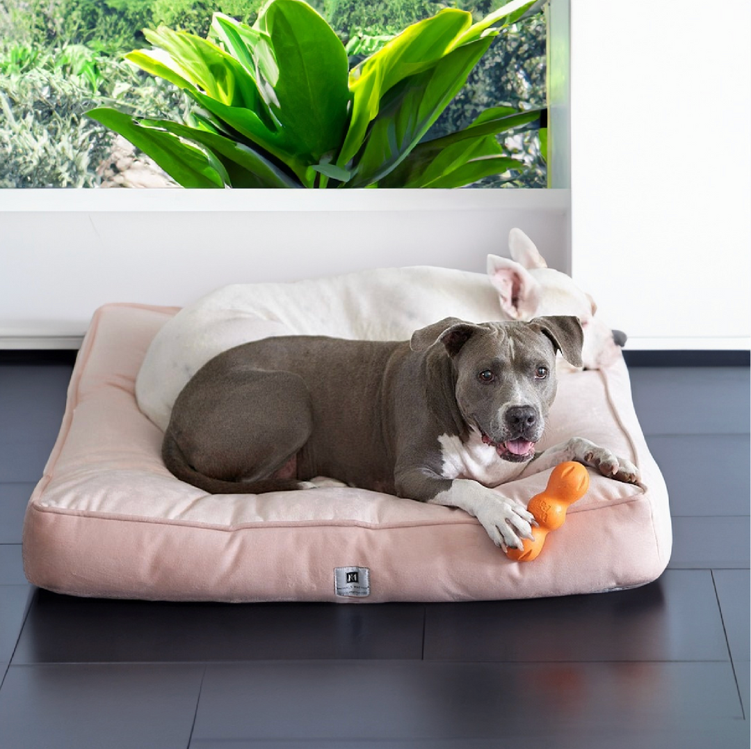 Ali Jewel® Ortho Square™ Companion-Pedic® Luxury Dog Bed - Animals Matter, Inc.