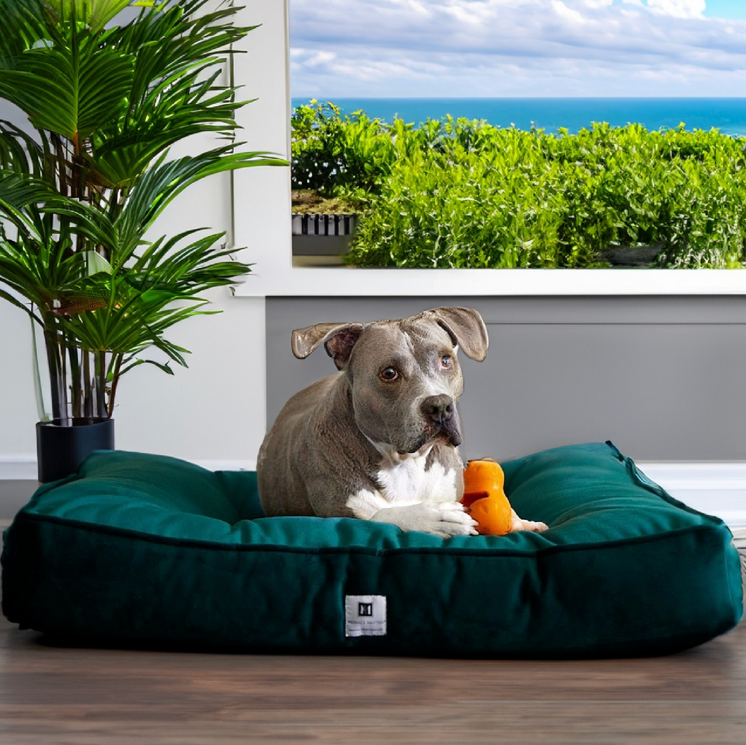 Ali Jewel® Ortho Square™ Companion-Pedic® Luxury Dog Bed - Animals Matter, Inc.