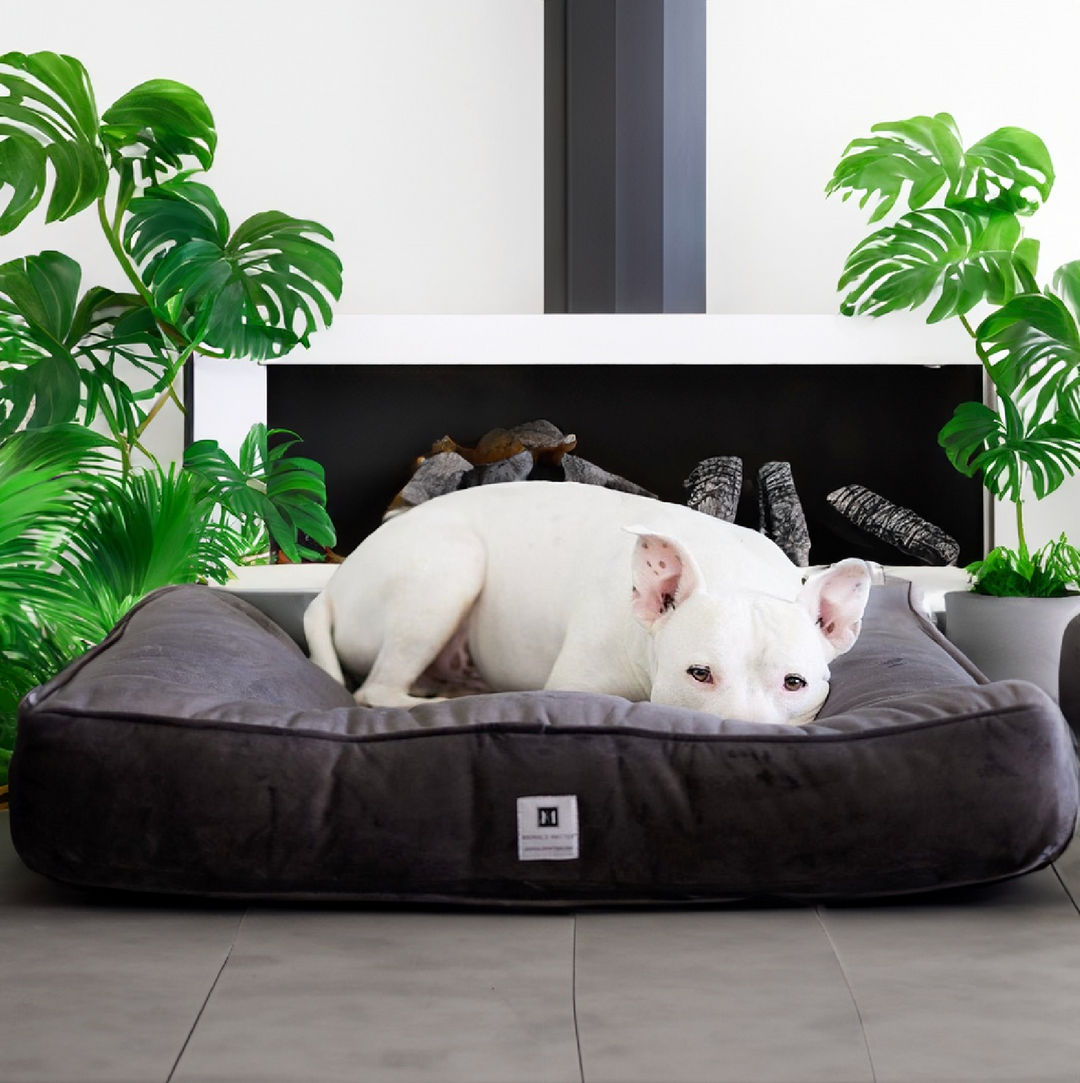 Ali Jewel® Ortho Square™ Companion-Pedic® Luxury Dog Bed - Animals Matter, Inc.