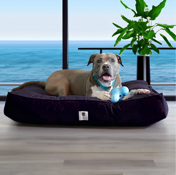 Ali Jewel® Ortho Square™ Companion-Pedic® Luxury Dog Bed - Animals Matter, Inc.