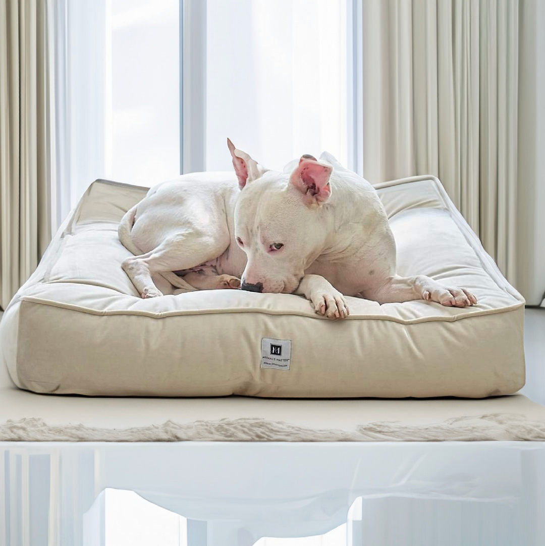 Ali Jewel® Ortho Square™ Companion-Pedic® Luxury Dog Bed - Animals Matter, Inc.